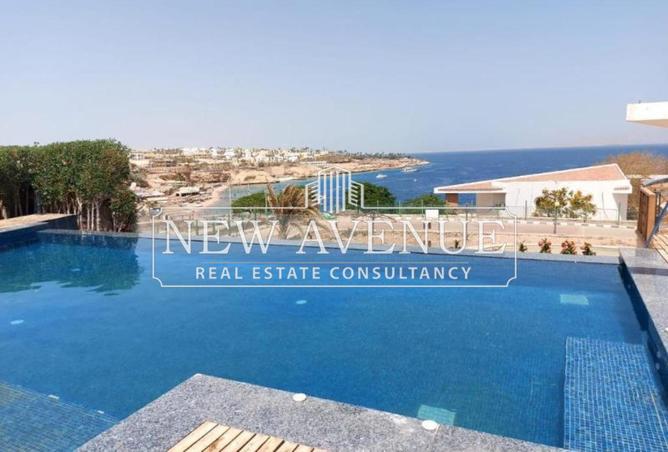 64635750 - Property Image 3