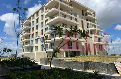 Apartment - 3 Bedrooms - 3 Bathrooms for sale in Palm Hills - Alexandria Compounds - Alexandria