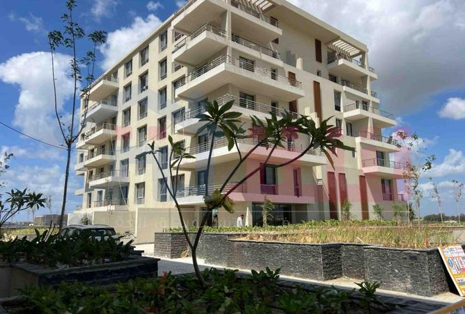 55995311 - Property Main Image