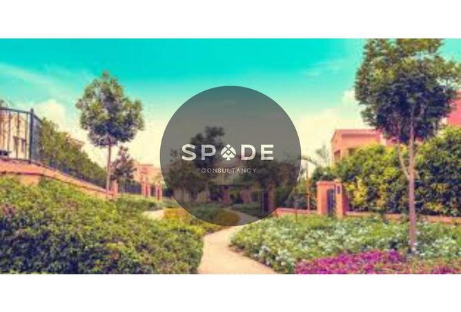 79991655 - صورة العقار 3