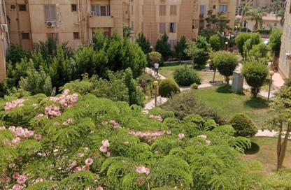 شقة - 3 غرف نوم - 2 حمامات للبيع في مدينة الخمائل - كمبوندات الشيخ زايد - الشيخ زايد - الجيزة شقة - 3 غرف نوم - 2 حمامات للبيع في مدينة الخمائل - كمبوندات الشيخ زايد - الشيخ زايد - الجيزة