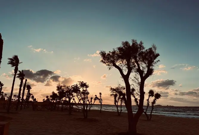 85052327 - صورة العقار 3