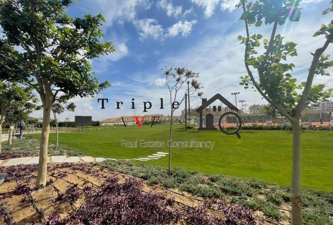 70098292 - Property Image 3