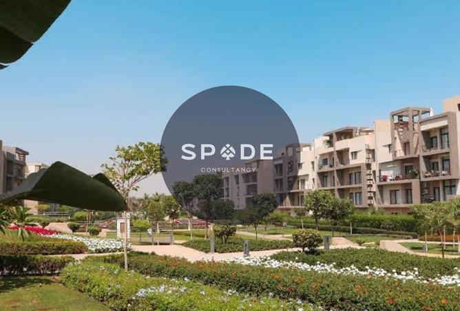 68536079 - صورة العقار 3