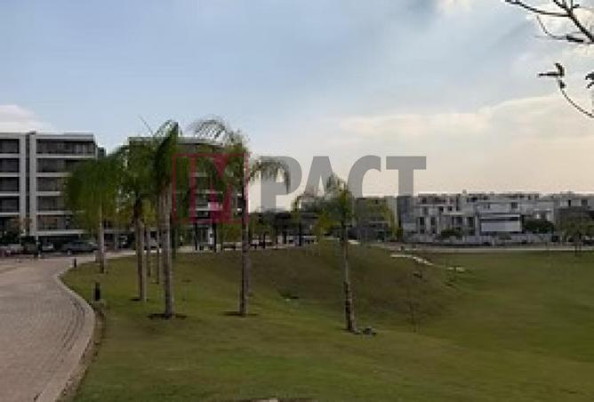 64904189 - Property Image 3