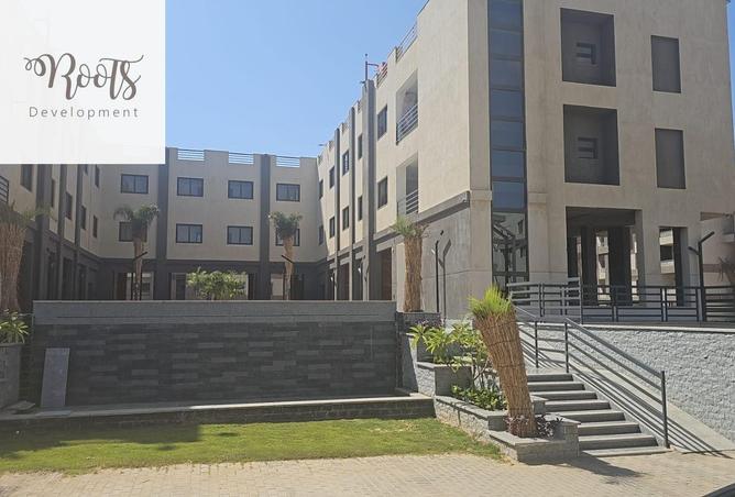 56493778 - صورة العقار 2