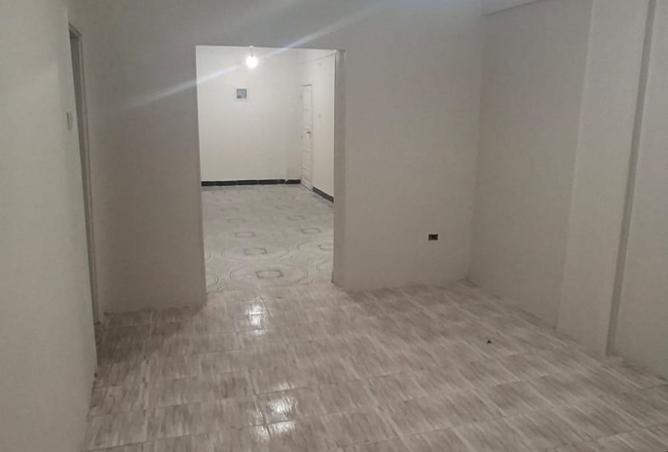 95188684 - Property Image 3