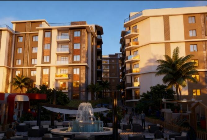 8493438 - Property Image 3