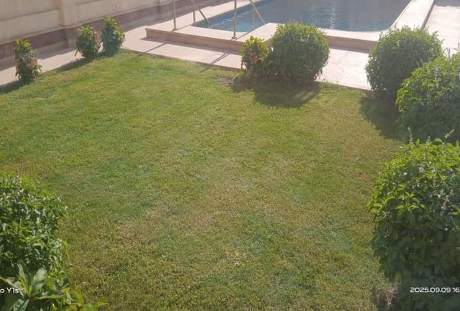 53973826 - Property Image 2