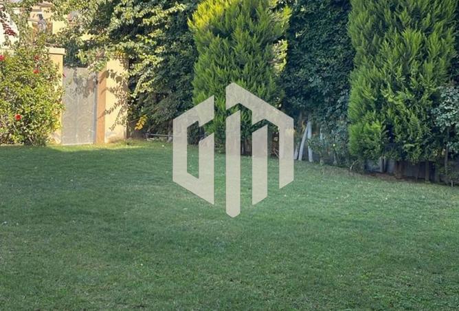 64642056 - صورة العقار 2