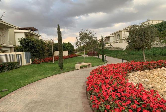 64384186 - صورة العقار 3