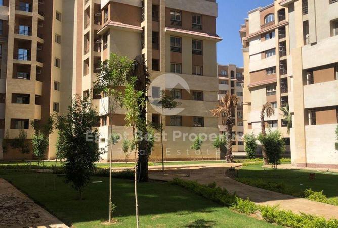 81059679 - صورة العقار 3