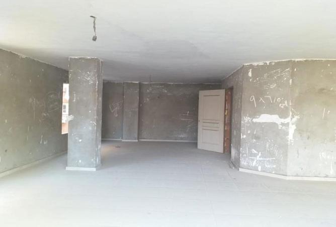 58252504 - صورة العقار 3