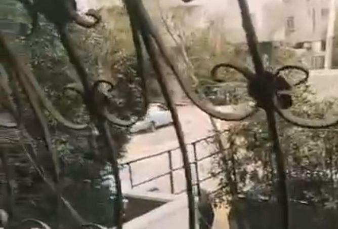 8699874 - Property Image 2