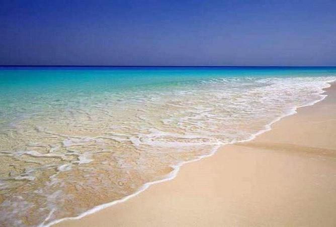79983687 - صورة العقار 3