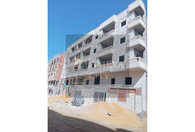 55749553 - Property Image 2