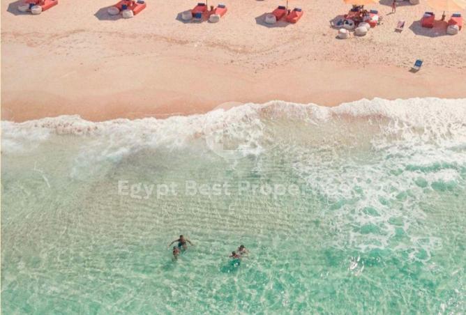 67998305 - صورة العقار 3