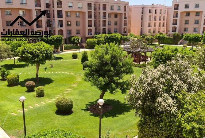 62650317 - Property Image 3