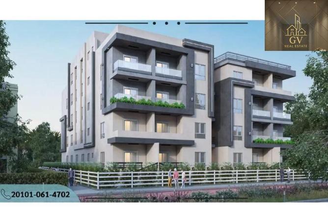 63145195 - Property Image 3