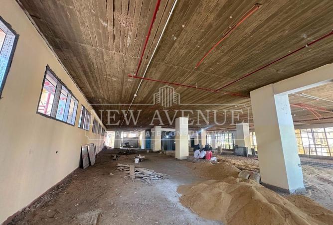 104892356 - Property Image 2