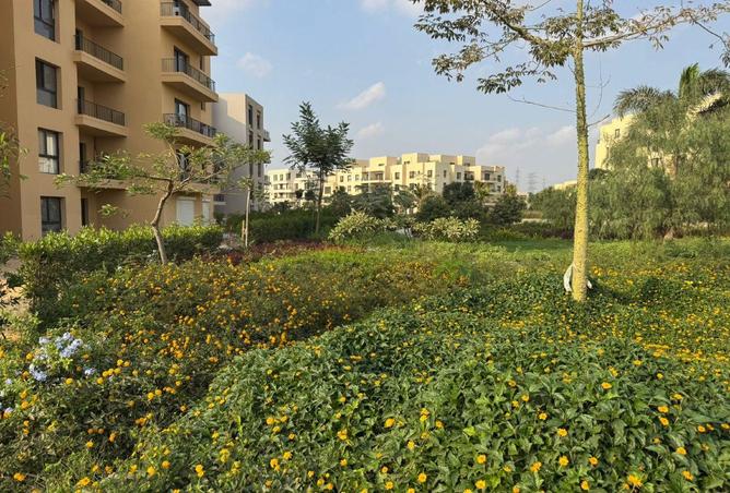 68001061 - صورة العقار 2