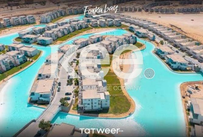 58256663 - Property Image 2