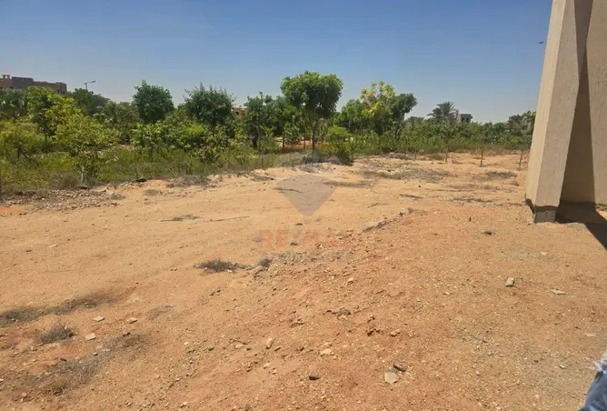 114349851 - صورة العقار 3