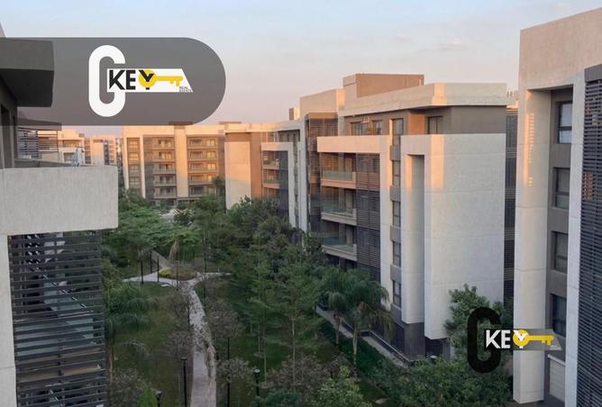 107690851 - Property Image 3