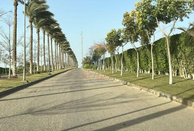 66685655 - صورة العقار 3