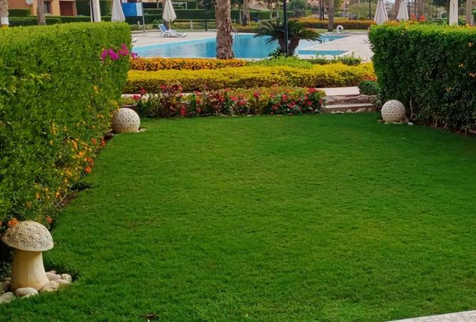 68266716 - صورة العقار 3