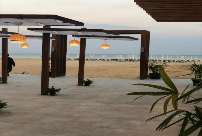 8637412 - Property Image 3