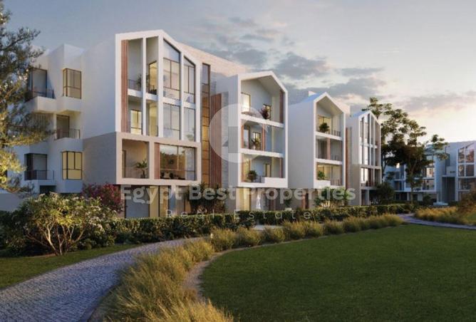 64907578 - Property Image 3