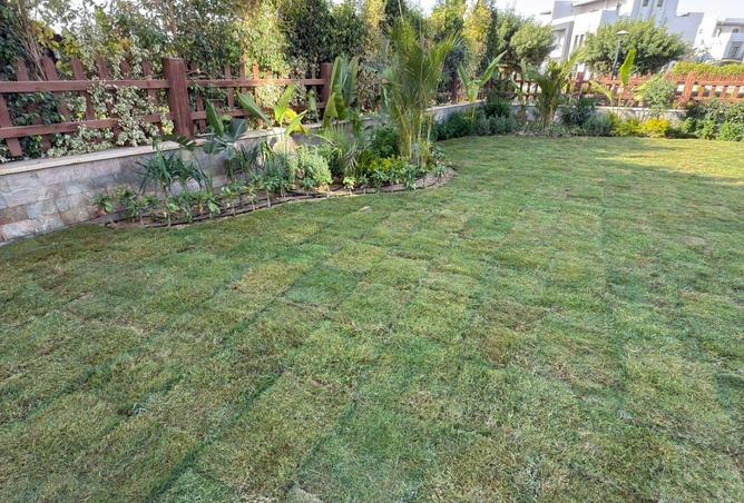 62405634 - Property Image 3