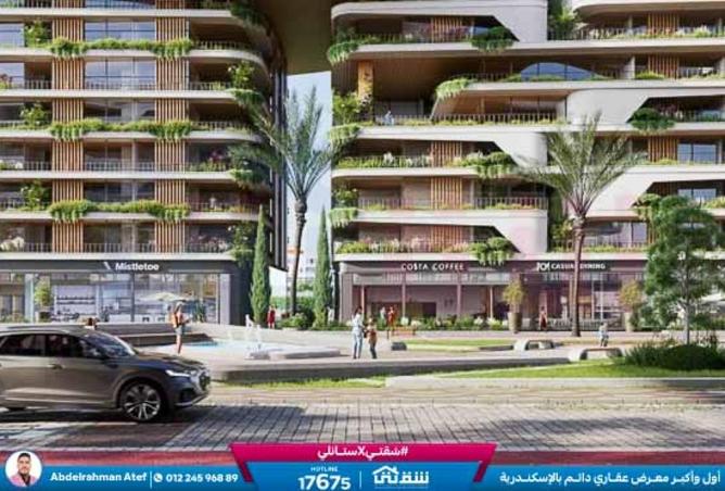 8609803 - صورة العقار 2