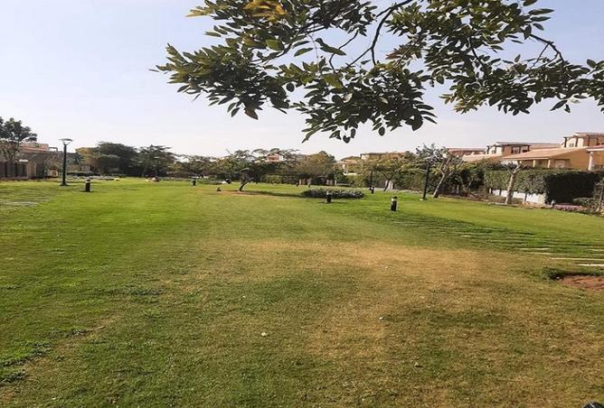 68798969 - صورة العقار 3