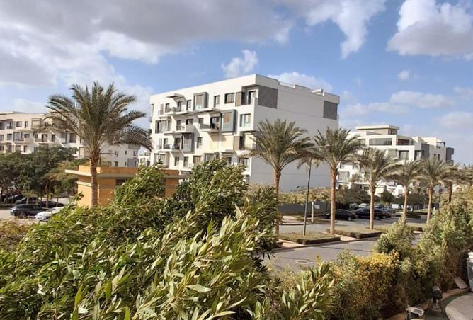 8645177 - Property Image 3