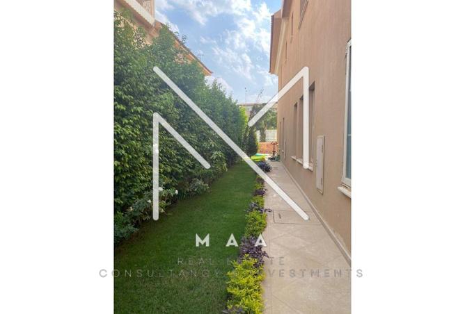 70375234 - Property Image 3