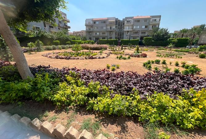 94638991 - صورة العقار 3