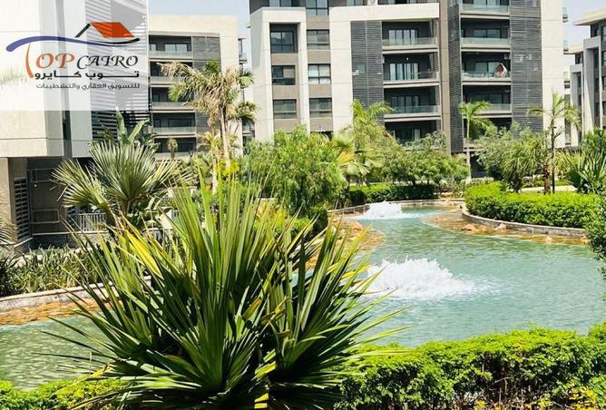 8593752 - صورة العقار 3