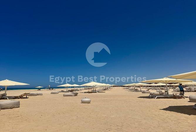 91279881 - Property Image 2