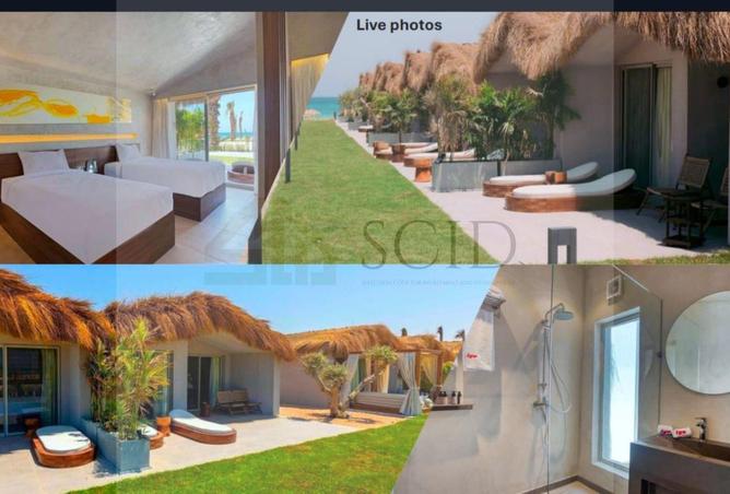 101788428 - Property Main Image