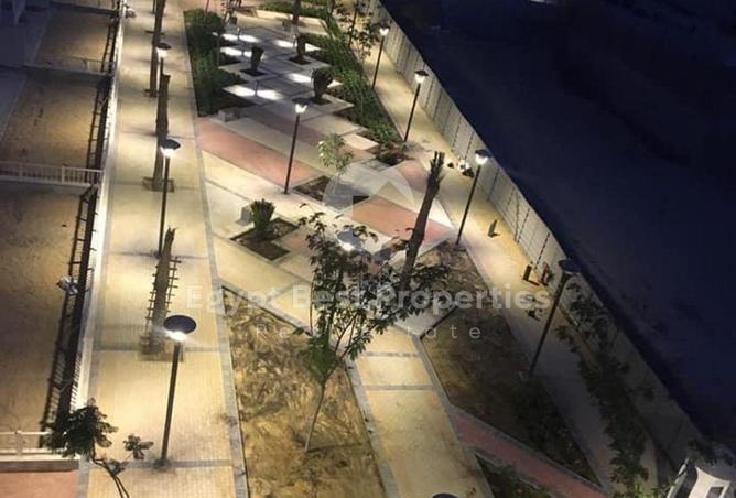 55753991 - صورة العقار 3