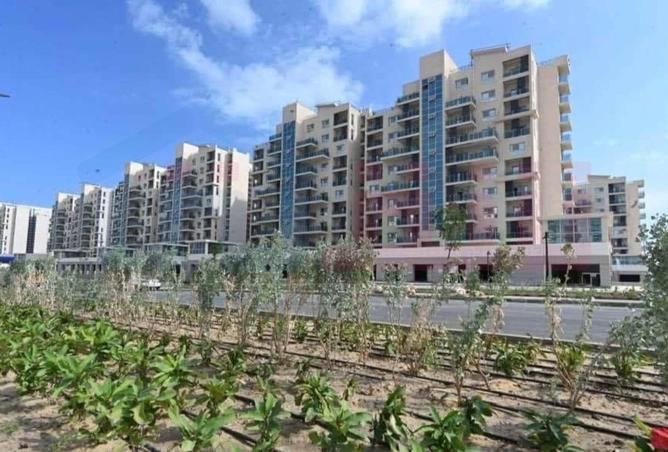 56495236 - Property Image 3