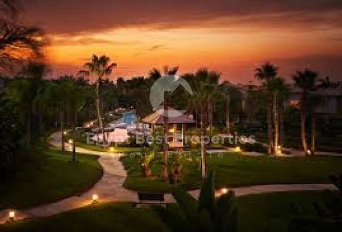 53986617 - Property Image 2