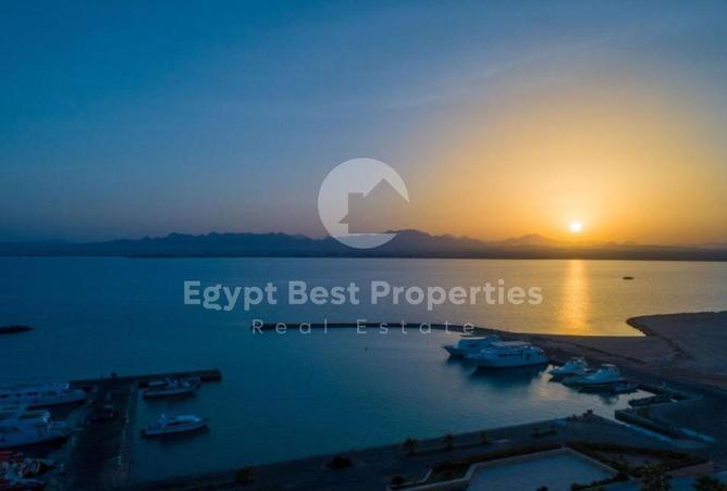 8536624 - Property Image 2