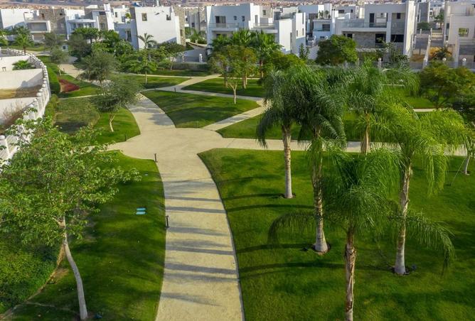 91855895 - صورة العقار 3