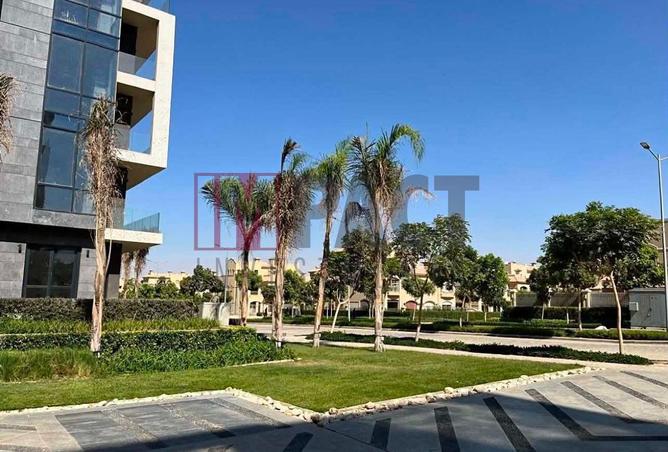 81565855 - صورة العقار 3