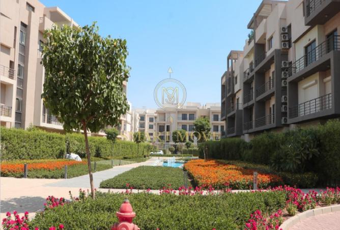 71906234 - Property Main Image