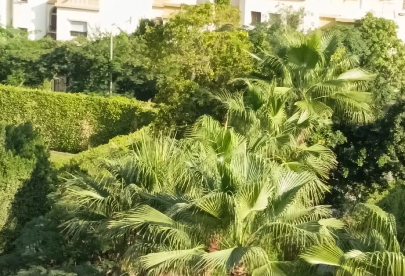 112975450 - Property Main Image