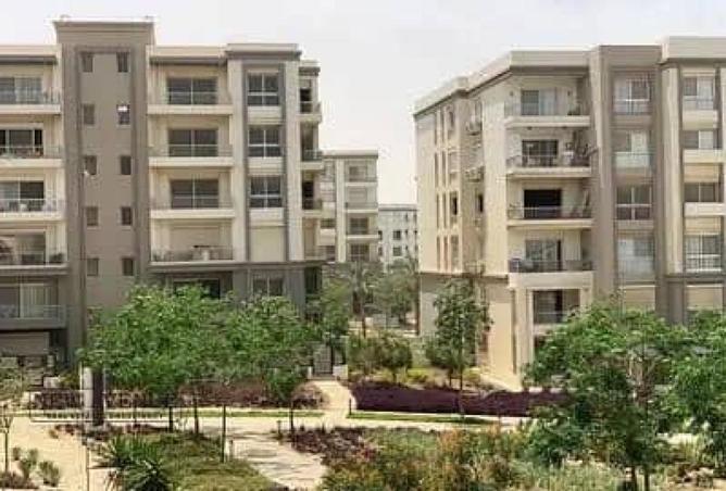 8687175 - Property Image 3